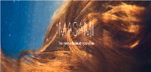 Masami Hair Products